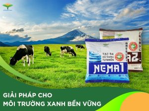 Nema - Giải pháp cho môi trường xanh, trong lành