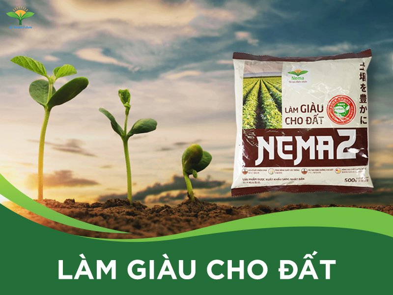 Nema - Giải pháp cho môi trường xanh, trong lành