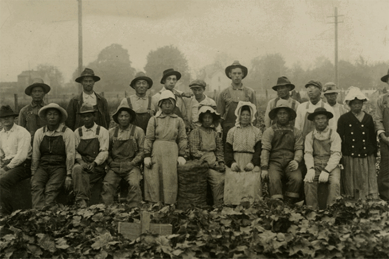 Nema - Giải pháp cho môi trường xanh, trong lành