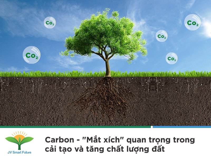 Nema có gây hại cho đất không
