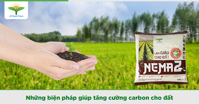 Nema - Nguyên tử carbon hữu cơ, lựa chọn cho nền nông nghiệp bền vững