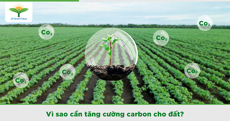 Nema - Nguyên tử carbon hữu cơ, lựa chọn cho nền nông nghiệp bền vững
