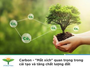 cách tăng hàm lượng carbon cho đất