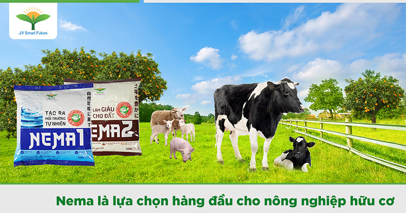 Thực tiễn và triết lý nông nghiệp hữu cơ Nhật Bản