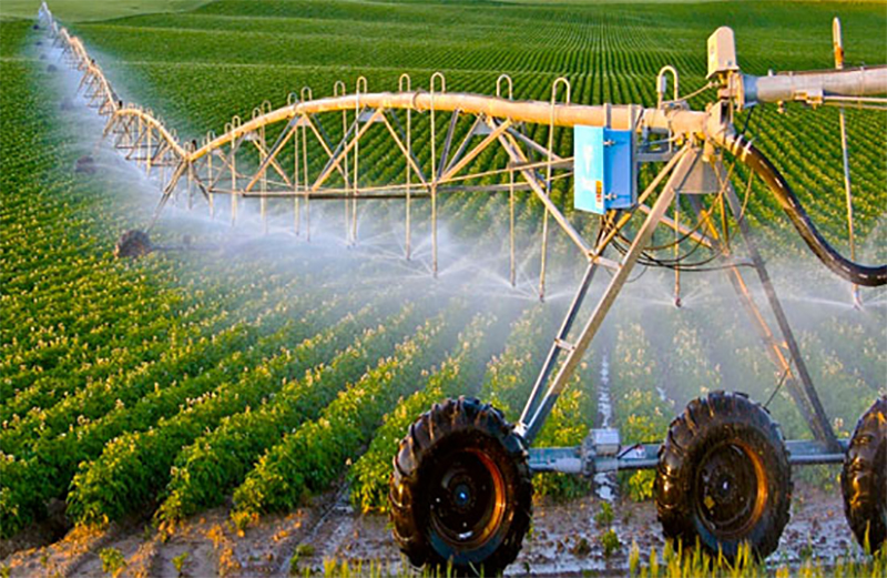 Thực tiễn và triết lý nông nghiệp hữu cơ Nhật Bản