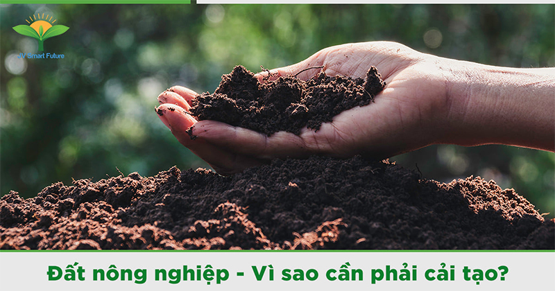 Vì sao cần cải tạo đất