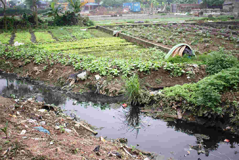 Nước thải trong nông nghiệp có thể bắt nguồn từ các hoạt động trồng trọt hoặc chăn nuôi. Trong những năm trở lại đây, việc xử lý nước thải trong nông nghiệp luôn trở thành vấn đề khiến các nhà quản lý cũng như người nông dân phải “đau đầu". 