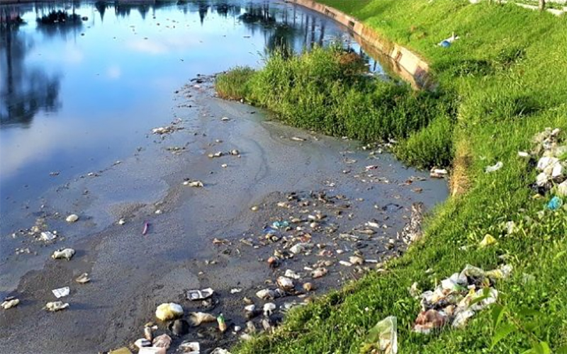 Nước thải trong nông nghiệp có thể bắt nguồn từ các hoạt động trồng trọt hoặc chăn nuôi. Trong những năm trở lại đây, việc xử lý nước thải trong nông nghiệp luôn trở thành vấn đề khiến các nhà quản lý cũng như người nông dân phải “đau đầu". 