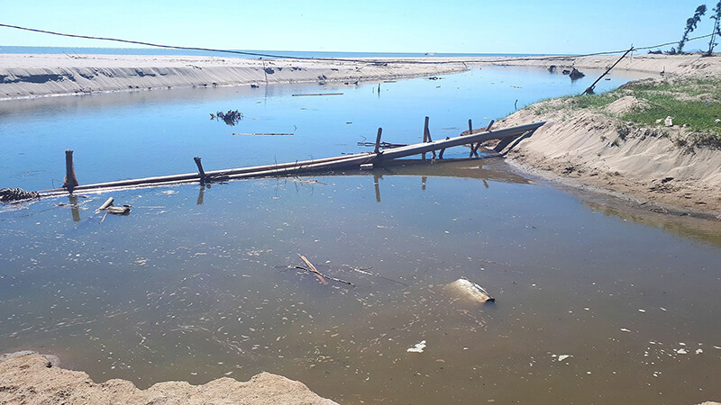 Nước thải trong nông nghiệp có thể bắt nguồn từ các hoạt động trồng trọt hoặc chăn nuôi. Trong những năm trở lại đây, việc xử lý nước thải trong nông nghiệp luôn trở thành vấn đề khiến các nhà quản lý cũng như người nông dân phải “đau đầu". 