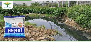 Nước thải trong nông nghiệp có thể bắt nguồn từ các hoạt động trồng trọt hoặc chăn nuôi. Trong những năm trở lại đây, việc xử lý nước thải trong nông nghiệp luôn trở thành vấn đề khiến các nhà quản lý cũng như người nông dân phải “đau đầu". 