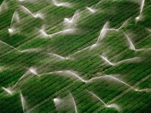 cải tạo đất cằn