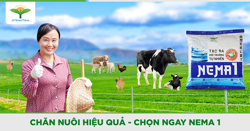 Chăn nuôi hiệu quả với Nema 1