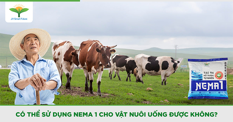 Với Nema 1, bà con nông dân hoàn toàn có thể sử dụng để tăng sức đề kháng cho động vật bằng đường uống. 