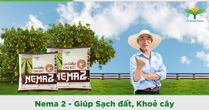 khoẻ cây sai quả nhờ nema 2